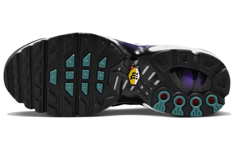Nike Air Max Plus 'Reverse Grape