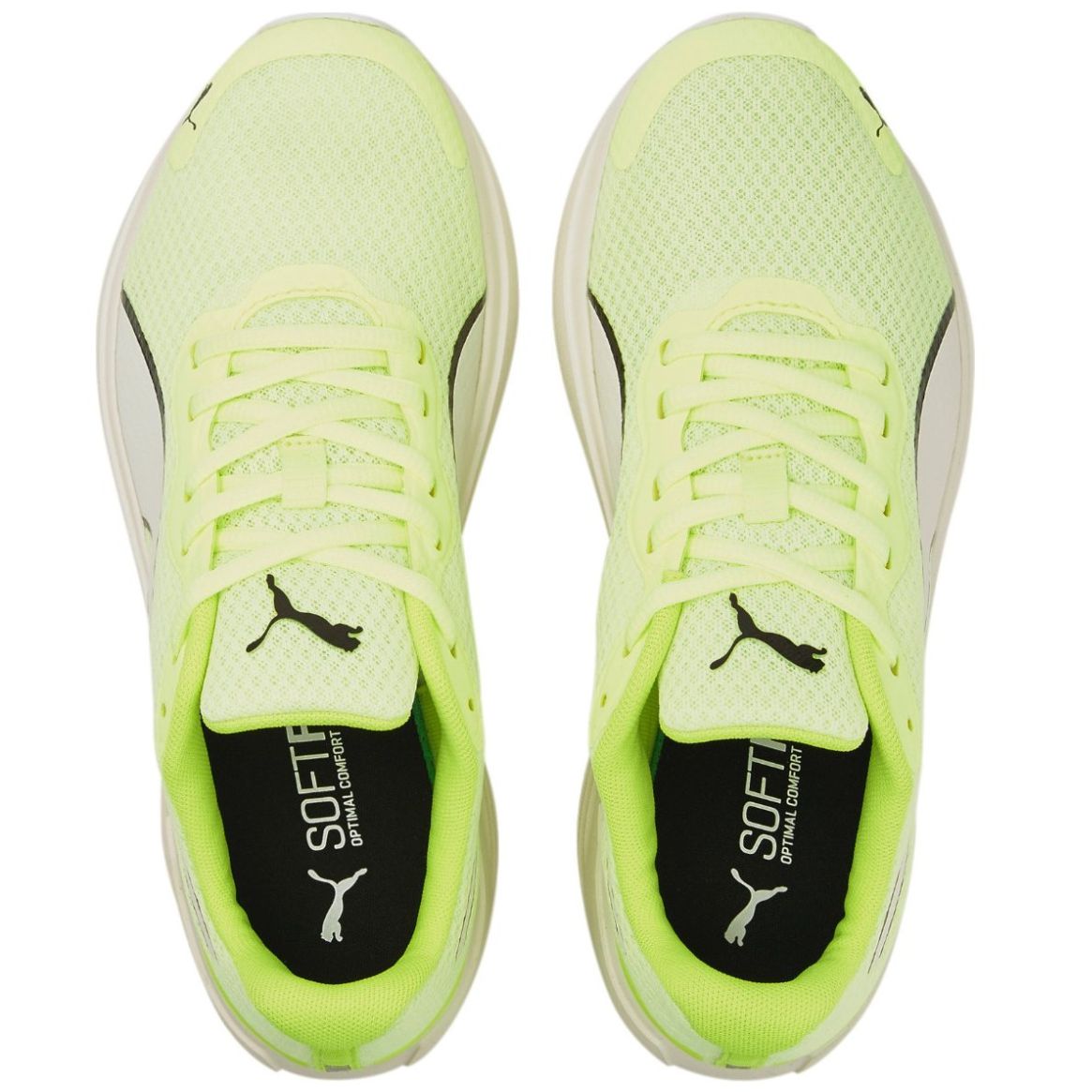Puma Tenis Training Feline Prof