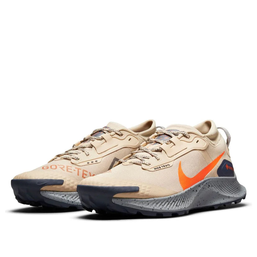 Nike Pegasus Trail 3