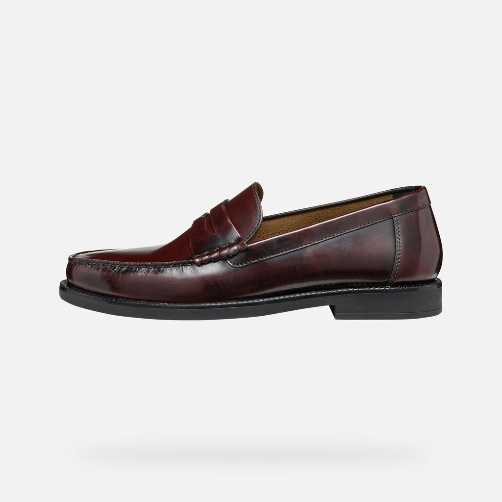 GEOX Recanati Man