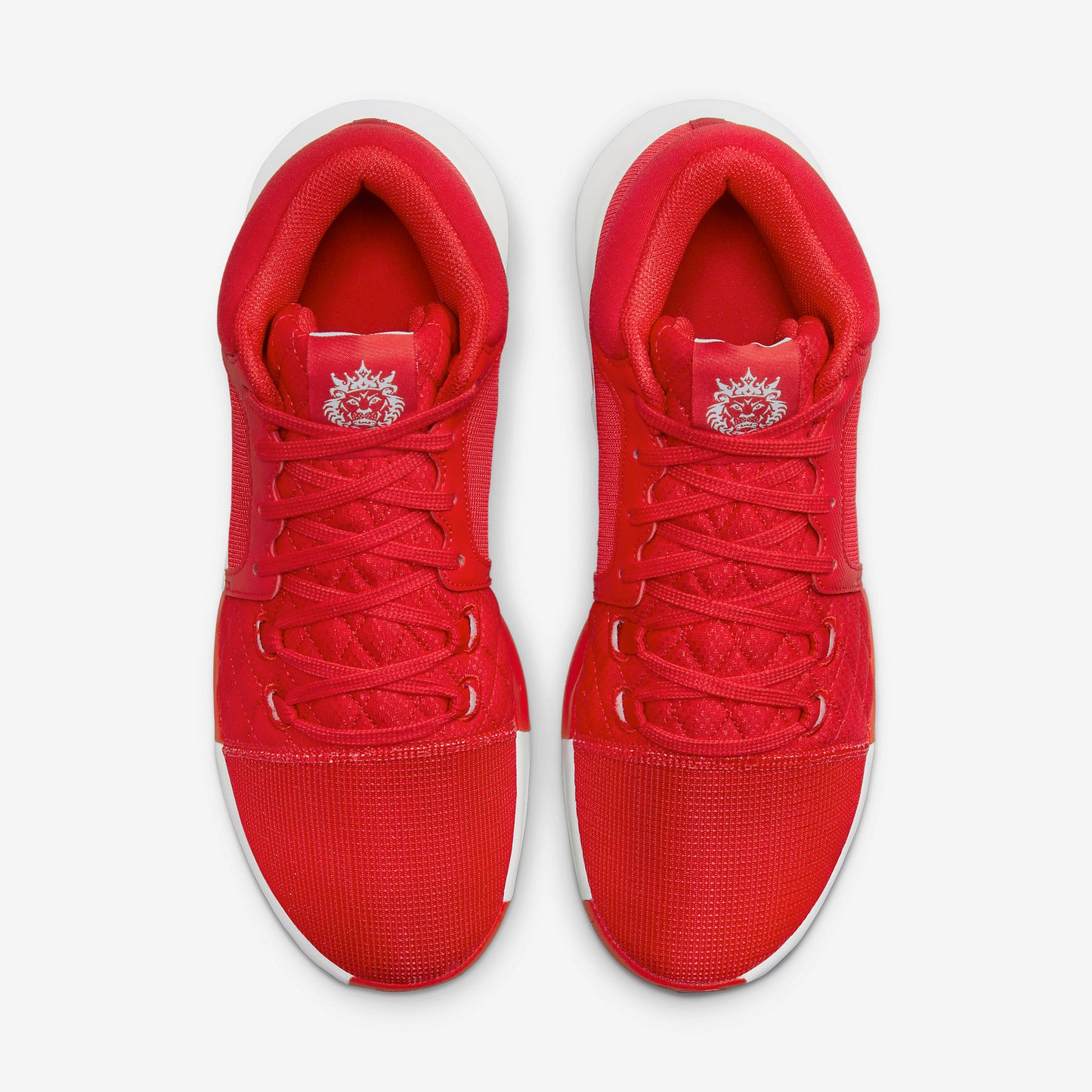 Nike LeBron Witness 8 TB