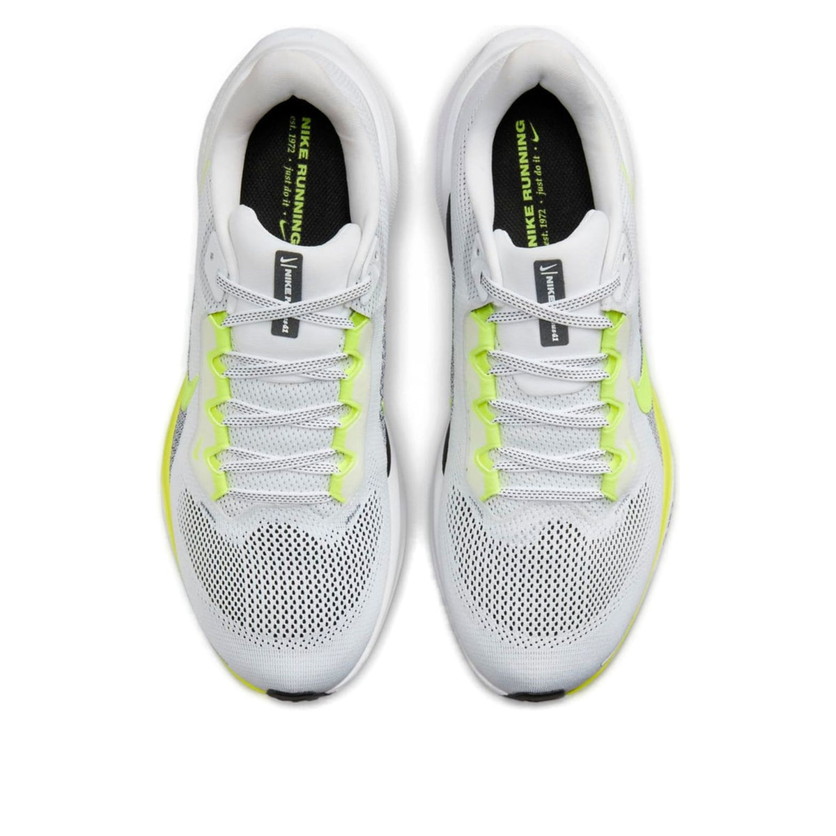 Nike Pegasus 41