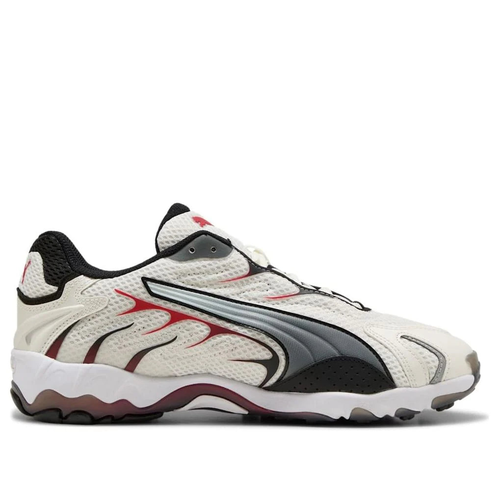 Puma Inhale