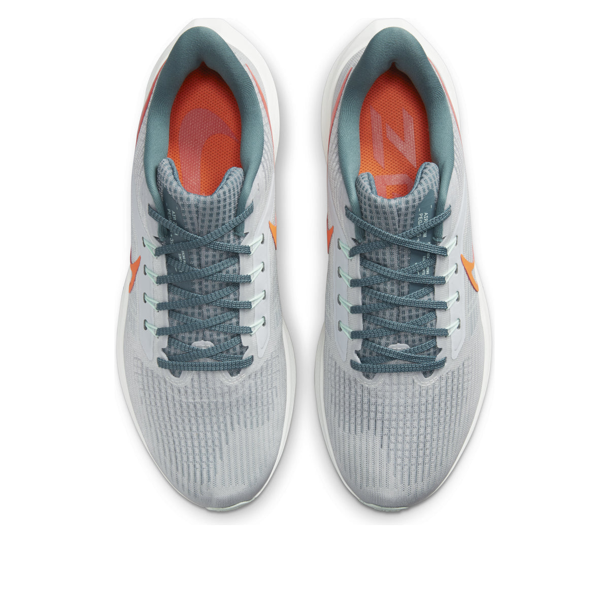 Nike Air Zoom Pegasus 39