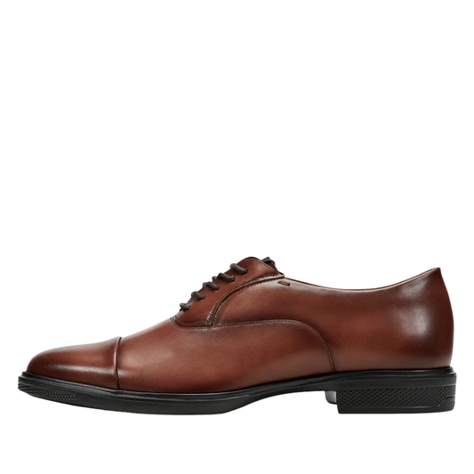 Rockport - Keefe Dress Cap Toe Lace-up Oxfords