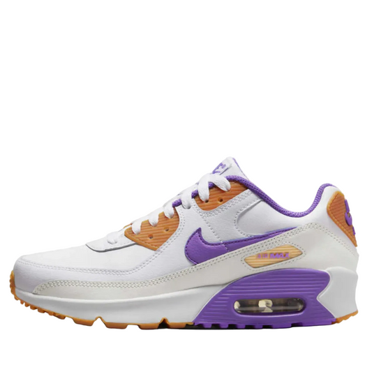 Nike Air Max 90 LTR