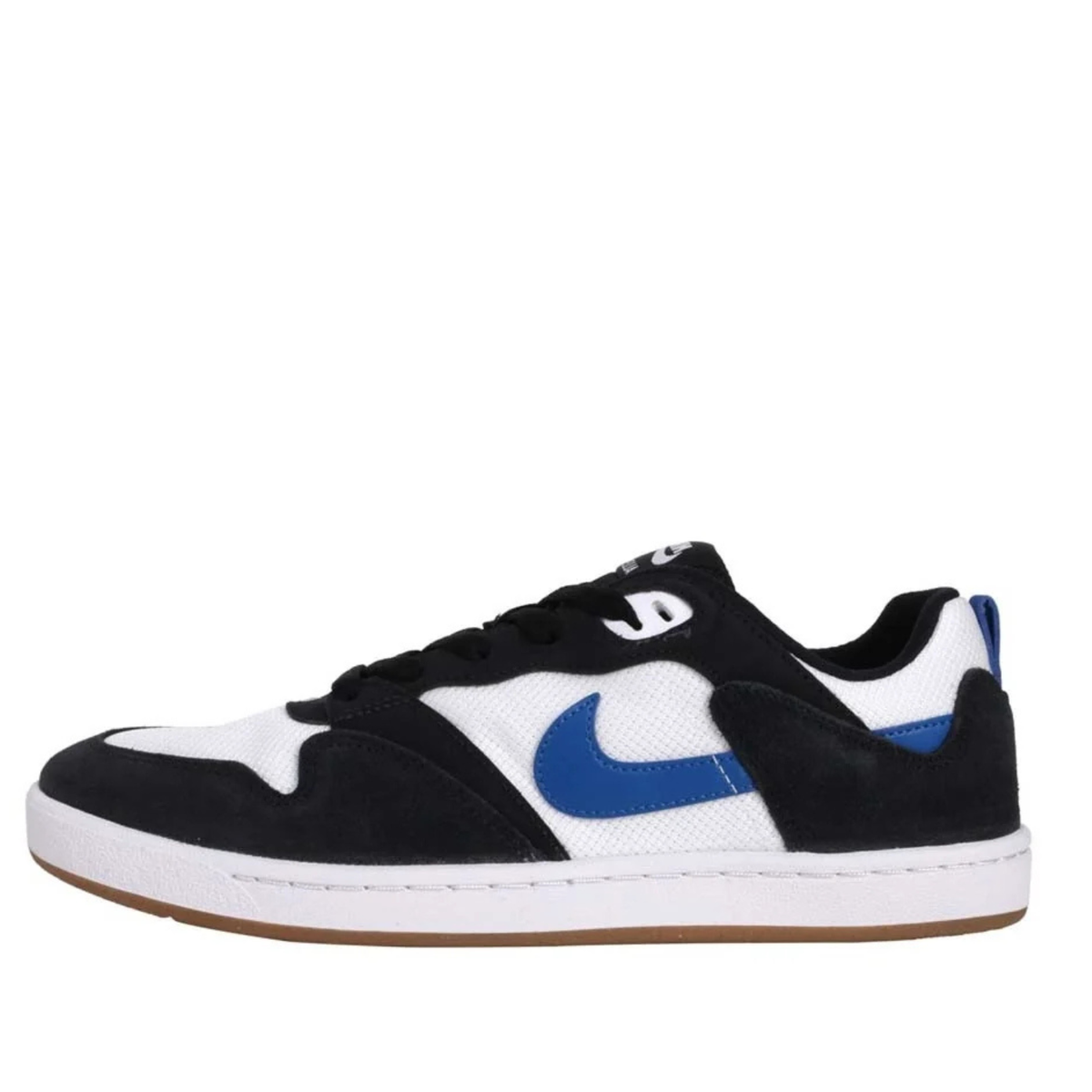 NIKE SB ALLEYOOP