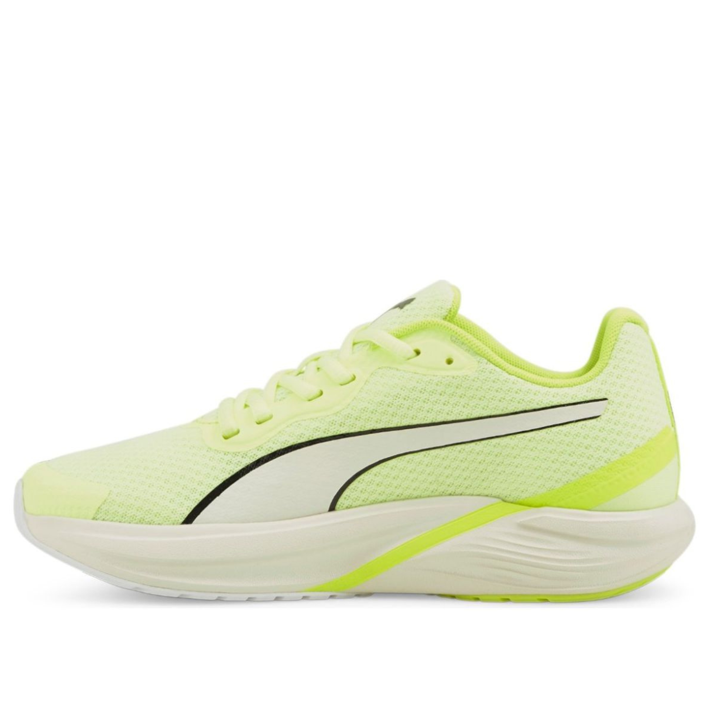 Puma Tenis Training Feline Prof