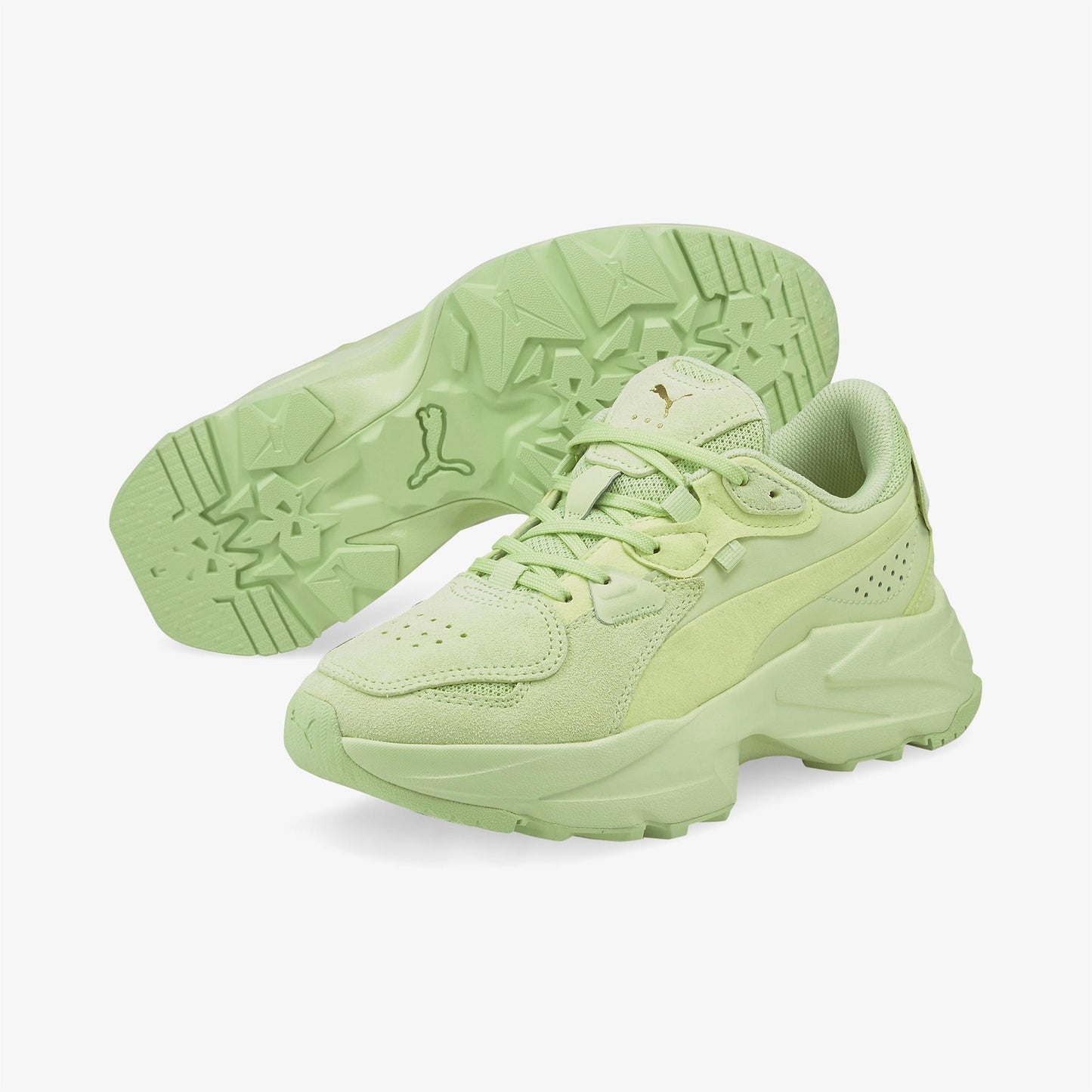 Puma Orkid