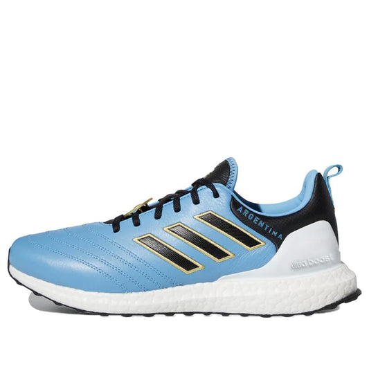 adidas UltraBoost DNA "World Cup - Argentina"