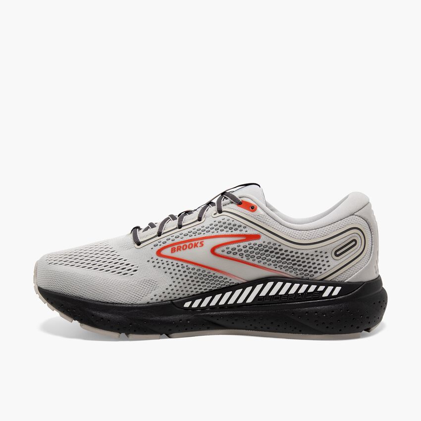 Brooks Beast GTS 23