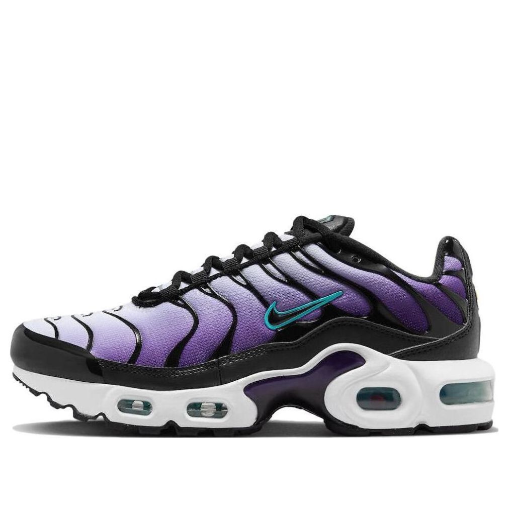 Nike Air Max Plus 'Reverse Grape
