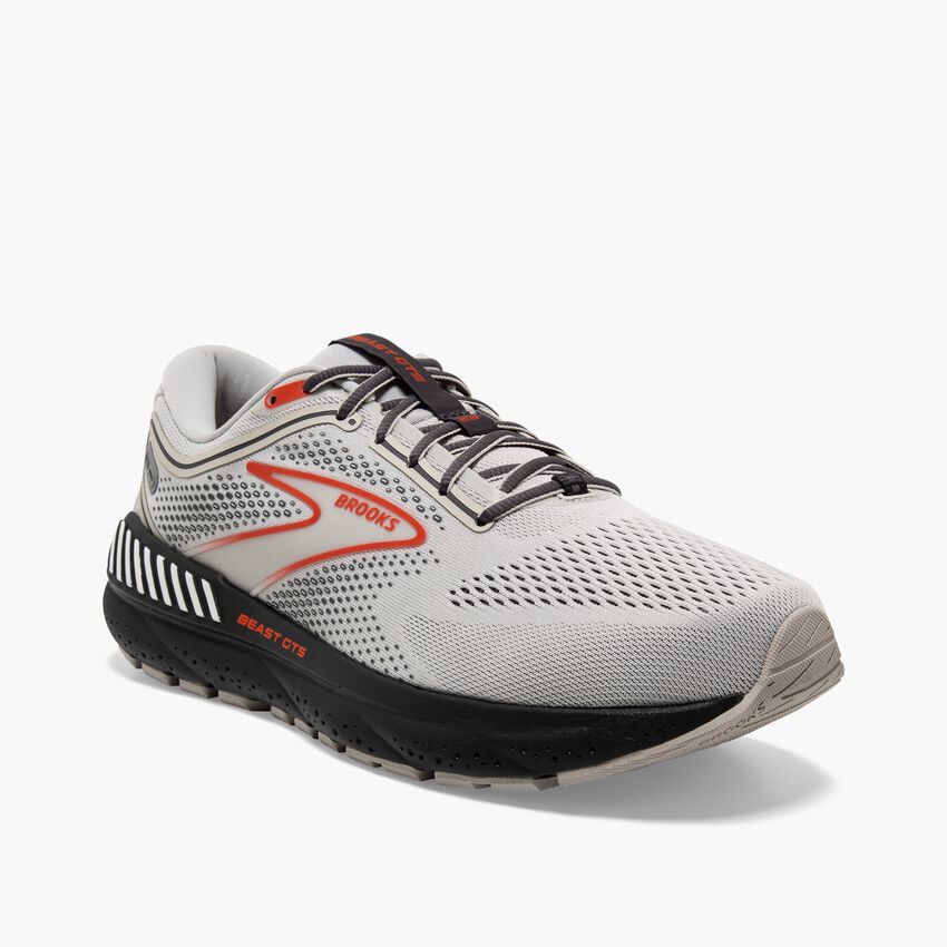 Brooks Beast GTS 23