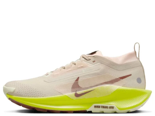 Nike Pegasus Trail 5 Gore-Tex